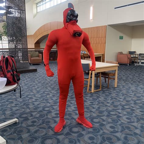crimson chin outfit|Crimson Chin .